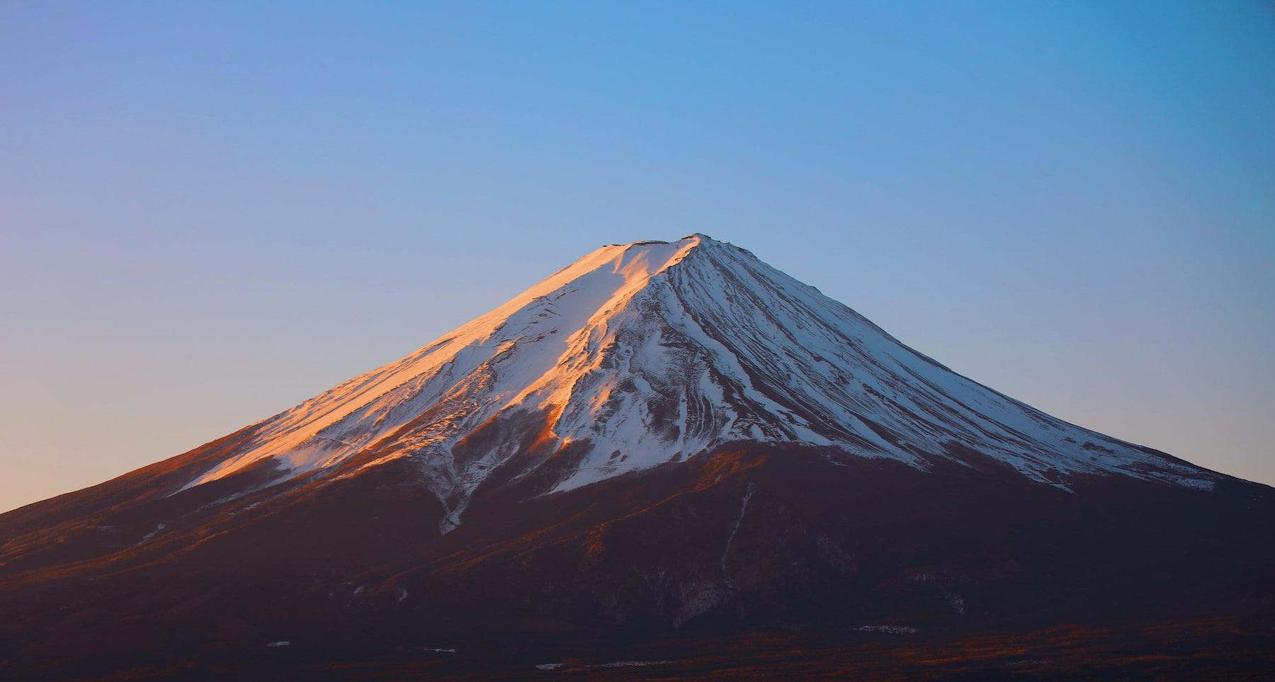 Mount Fuji | Forever Fresh Foods