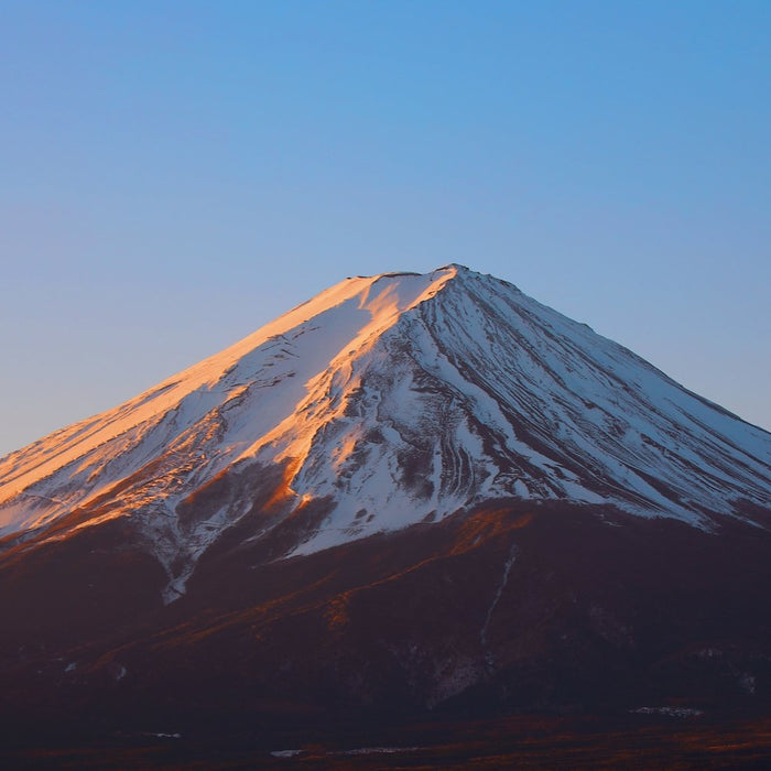 Mount Fuji | Forever Fresh Foods